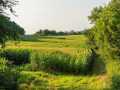 Menomonie Land Real Estate