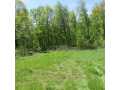 Boyceville Land Real Estate