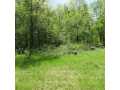 Boyceville Land Real Estate