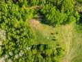 Boyceville Land Real Estate