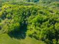 Boyceville Land Real Estate