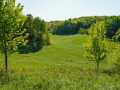 Boyceville Land Real Estate