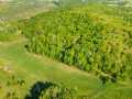 Boyceville Land Real Estate