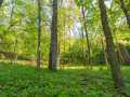Boyceville Land Real Estate