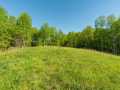 Boyceville Land Real Estate