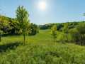 Boyceville Land Real Estate