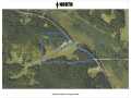 Boyceville Land Real Estate
