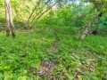 Boyceville Land Real Estate