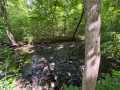 Frederic Residential Real Estate