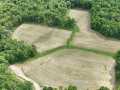 Downing Land Real Estate