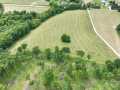 Downing Land Real Estate