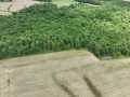 Downing Land Real Estate