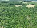 Downing Land Real Estate