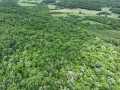 Downing Land Real Estate