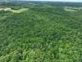Downing Land Real Estate