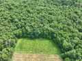 Downing Land Real Estate