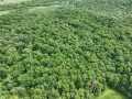 Downing Land Real Estate