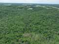Downing Land Real Estate