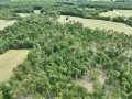 Downing Land Real Estate
