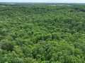 Downing Land Real Estate