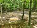 Downing Land Real Estate