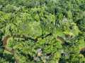 Boyceville Land Real Estate