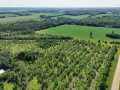 Boyceville Land Real Estate