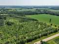 Boyceville Land Real Estate