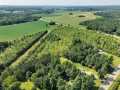 Boyceville Land Real Estate
