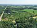 Boyceville Land Real Estate