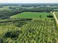 Boyceville Land Real Estate