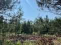 Boyceville Land Real Estate