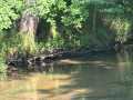 Boyceville Land Real Estate