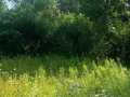 Boyceville Land Real Estate