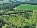 Boyceville Land Real Estate