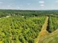 Boyceville Land Real Estate