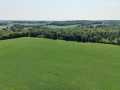 Boyceville Land Real Estate