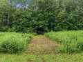 Clayton Land Real Estate