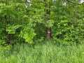 Chetek Land Real Estate