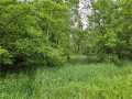 Chetek Land Real Estate