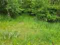 Chetek Land Real Estate
