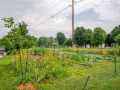 Menomonie Residential Real Estate