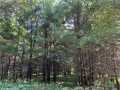 Menomonie Land Real Estate