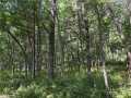 Menomonie Land Real Estate