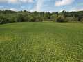 Menomonie Land Real Estate