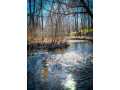 Birchwood Residential Real Estate