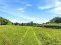 Colfax Land Real Estate