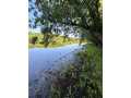 Ladysmith Residential Real Estate