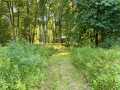 Ladysmith Residential Real Estate