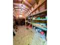Ladysmith Residential Real Estate